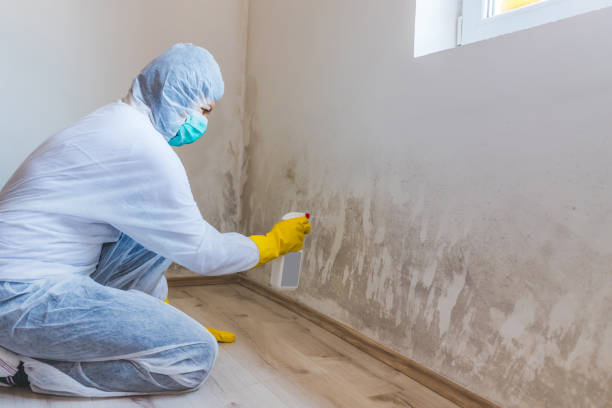 Licensed Mold Inspection service in Welcome, MD - WQB Mold Removal